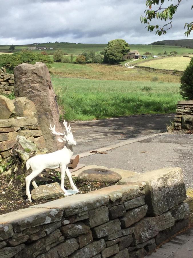 Cosy Rural Cottage Peak District, Pets Welcome Hollinsclough Exterior foto